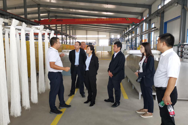 陜西航天建設集團有限公司總經理、黨委副書記謝明娟率隊赴遼寧一諾環保產業集團開展考察調研工作